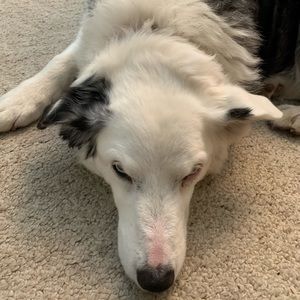 Meet your Posher, Ximena